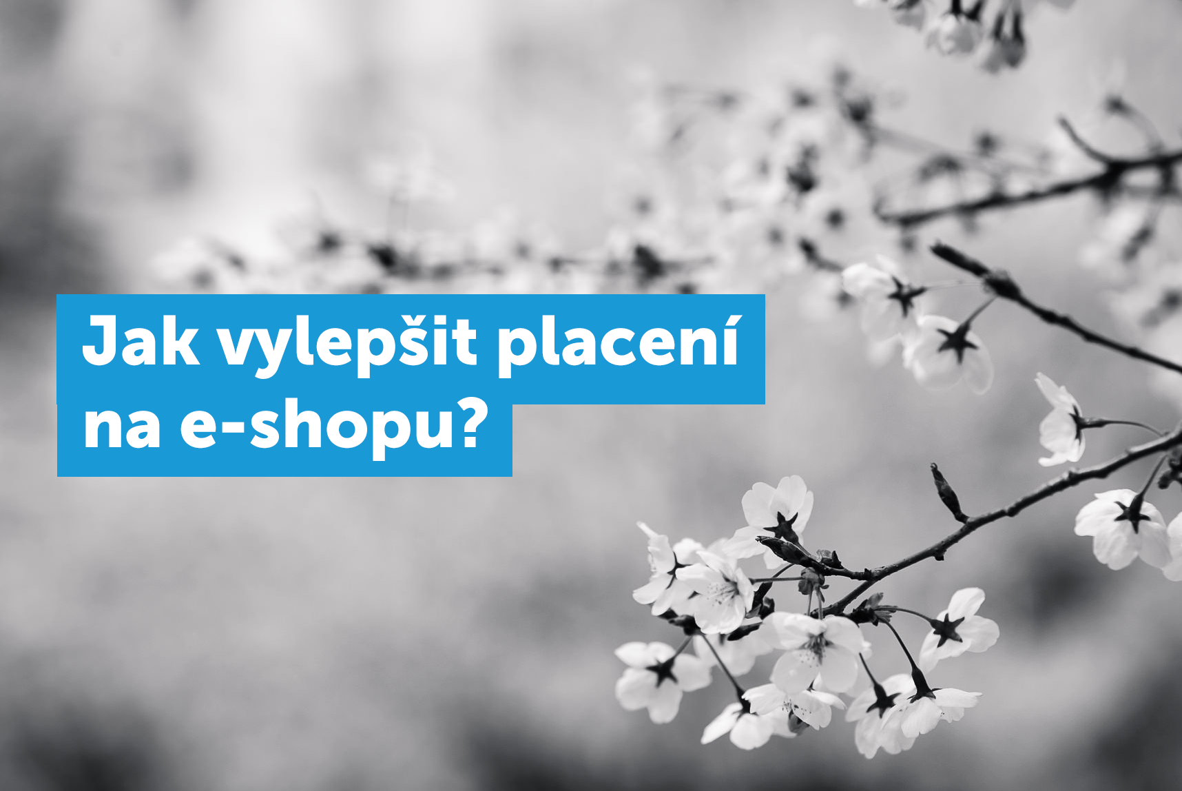 Jak vylepšit placení na e-shopu