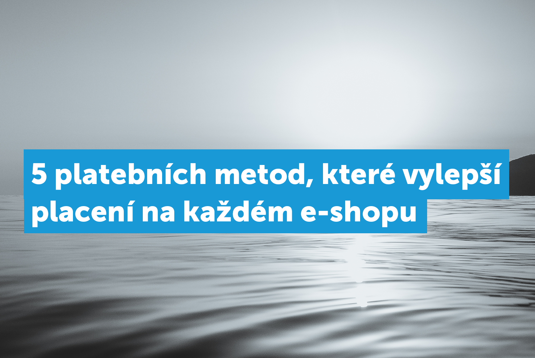 Platební metody pro e-shopy