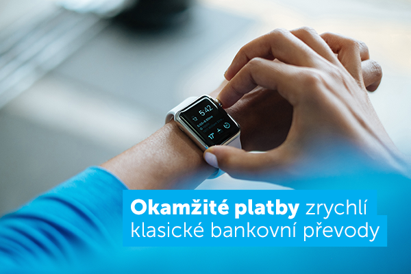 [Obrázek: okam%C5%BEit%C3%A9-platby.png]